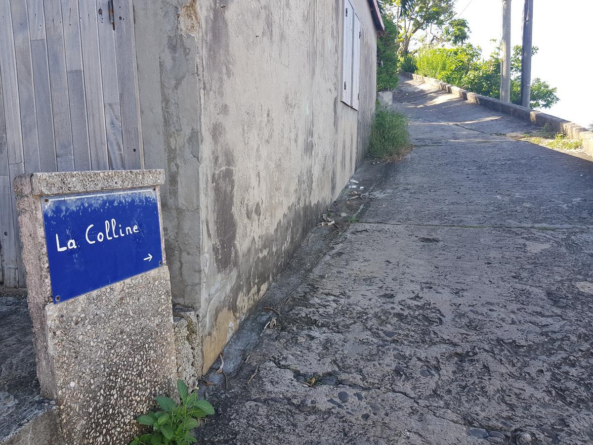 La Petite Villa Terre-De-Haut Dış mekan fotoğraf